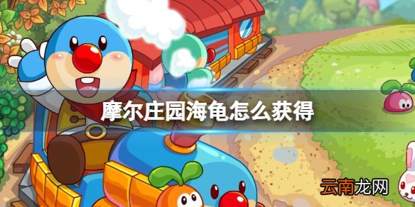 摩尔庄园海龟怎么获得 摩尔庄园海龟出现位置介绍