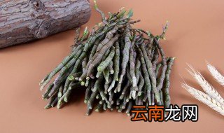 石斛开花方法和注意事项图片 石斛开花方法和注意事项