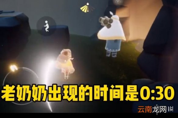 光遇雨林老奶奶在哪 光遇雨林老奶奶位置介绍