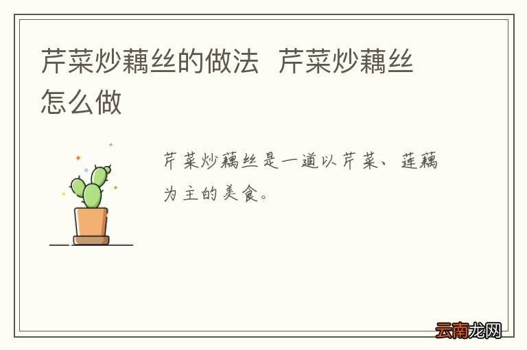 清炖鸭汤的做法 清炖鸭汤怎么做好吃
