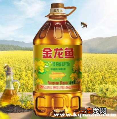 金龙鱼低芥酸菜籽油好不好，金龙鱼低芥酸菜籽油什么意思