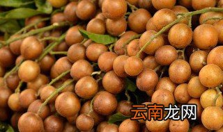 上飞机可以带新鲜水果吗 坐飞机能不能带新鲜水果