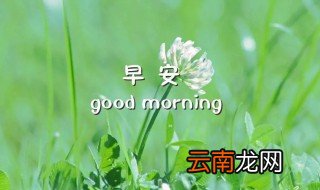 早安最美一句话 早安最美一句话集锦