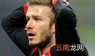 意料之中情理之外是什么意思 意料之中情理之外解释