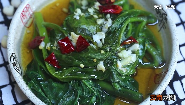 木耳菜怎么做 木耳菜咋做好吃
