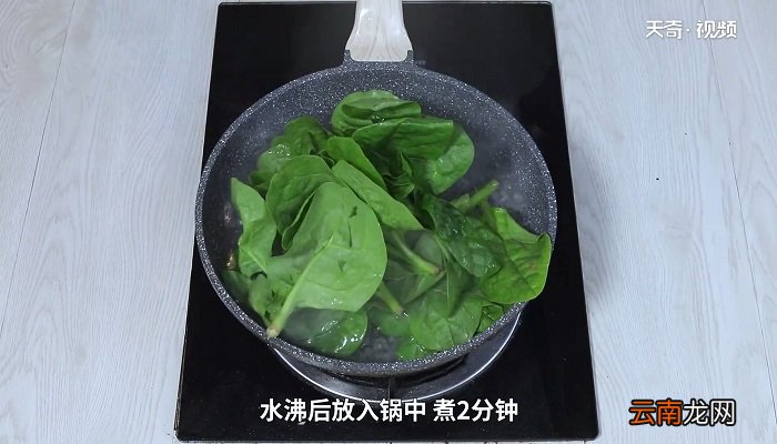 木耳菜怎么做 木耳菜咋做好吃