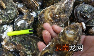 新鲜海蛎能不能带飞机上 海蛎煎可以带上飞机吗