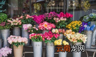 花卉换盆的步骤 鲜花换盆方法及注意事项