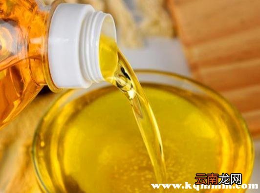 最好玉米油是哪个品牌,国内玉米油哪个牌子好