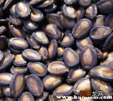 西瓜子的禁忌与副作用，西瓜子吃多了会有什么副作用