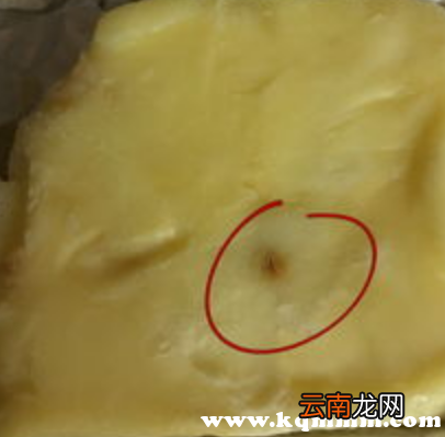 黄油有一点黑点切掉还能吃吗，黄油坏了的图片
