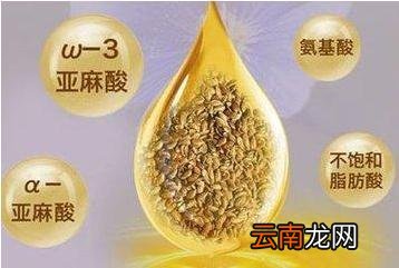 每天喝一勺亚麻籽油好吗，早晨空腹喝亚麻籽油的好处
