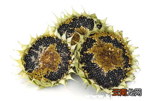 西瓜子和葵花籽哪个好，吃西瓜子和葵花籽哪个胖