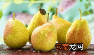 摘梨发朋友圈的句子 采摘梨子怎么发朋友圈