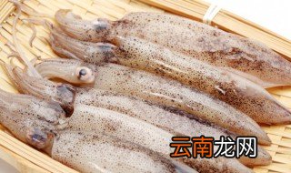 飞机能不能带新鲜鱿鱼干 飞机能不能带新鲜鱿鱼
