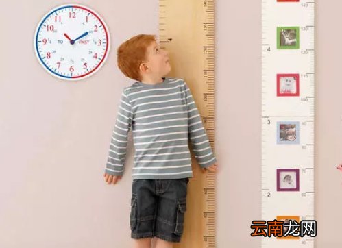 身高体重标准表
