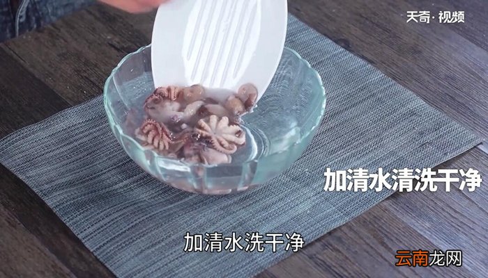 八爪鱼焯水的做法 八爪鱼焯水怎么做