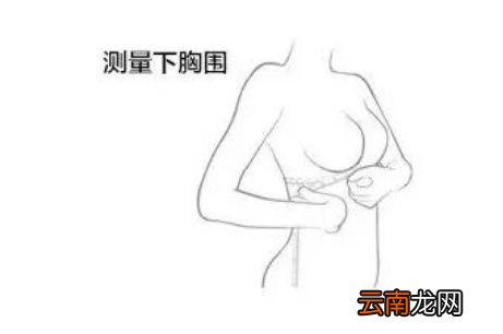 胸围怎么测量才标准