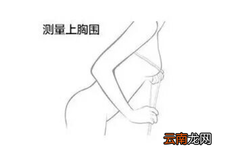 胸围怎么测量才标准