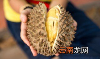 榴莲能不能带到飞机 榴莲可以带到飞机上吗