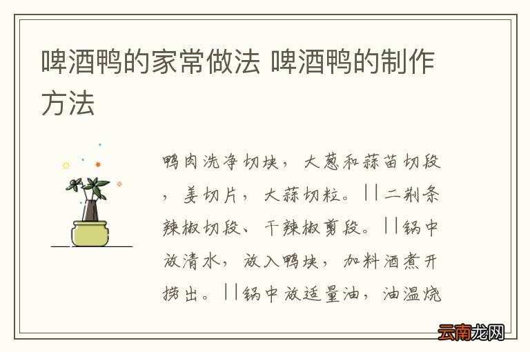 萝卜炖牛腩的做法