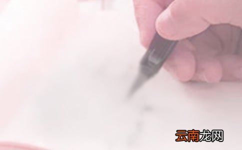 外经贸局2019年党建工作总结