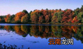 瓦尔登湖创作特色 瓦尔登湖创作有什么特色