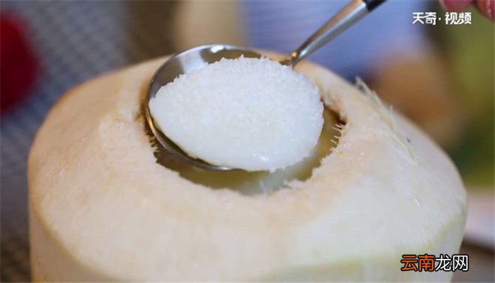 椰青奶冻的做法 椰青奶冻怎么做