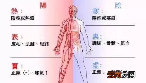 阴虚还是阳虚应该如何辨别