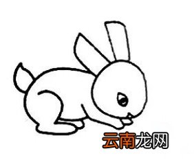 兔子怎么画简单又漂亮