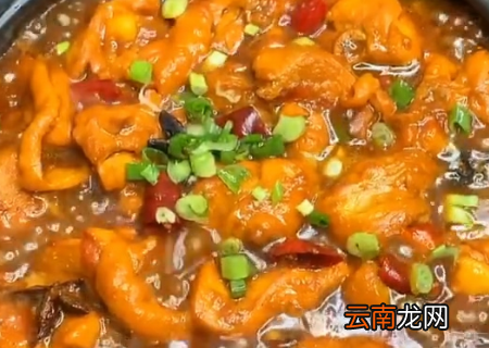 家常炖鸡肉的简单方法