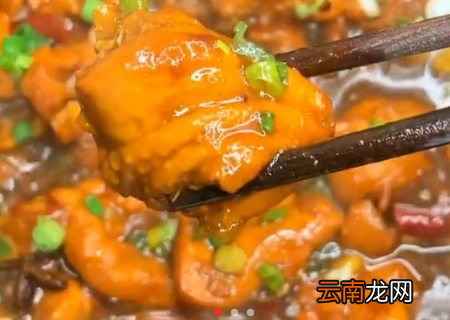 家常炖鸡肉的简单方法