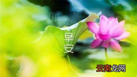 早安心语简单一句话