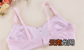 内衣学生怎么选 选内衣学生方法