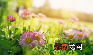 清新气质网名两字 清新气质网名两字女