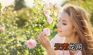 气质网名女生清新脱俗 女生网名有气质清新