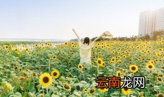 群网名唯美小清新淡雅 小清新带点唯美的群名