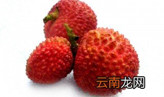 荔枝冷库的储藏方法 一定要这样做