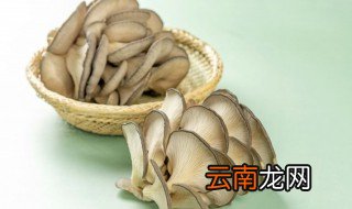 白玉菇种植方法与注意事项有哪些 白玉菇种植方法与注意事项
