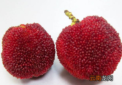 孕妇梦见吃杨梅是什么意思 孕妇梦见吃杨梅是生男生女