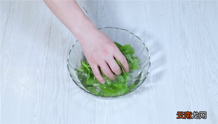 清炒木耳菜的做法 清炒木耳菜怎么做