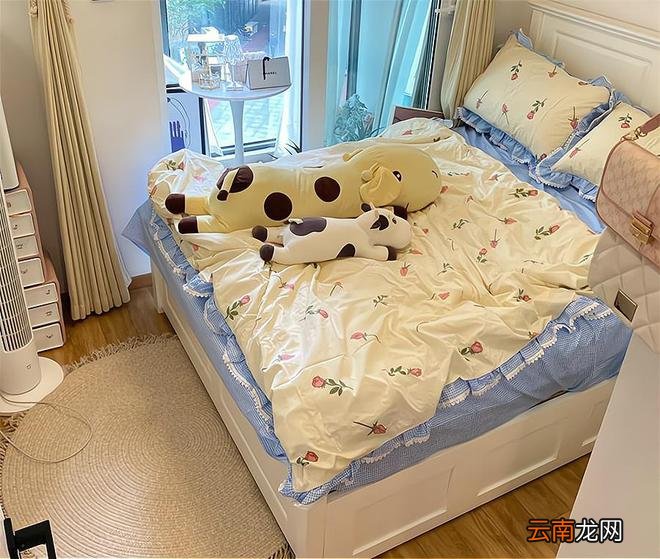 江苏姑娘独居38㎡小家，因太会布置走红，把小家布置得温馨又治愈