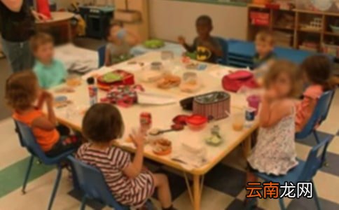 【精品】幼儿园工作计划范文集锦5篇