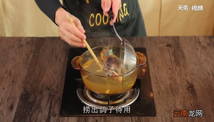 鸽子汤怎么炖 鸽子汤的做法