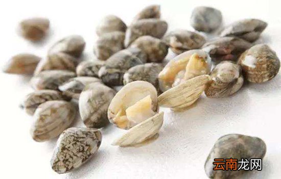花甲和花蛤的区别 其实是同一个东西