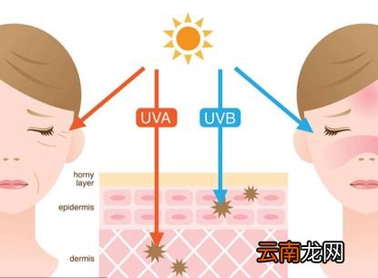 宝宝夏天怎么防晒 来一场夏日大作战吧