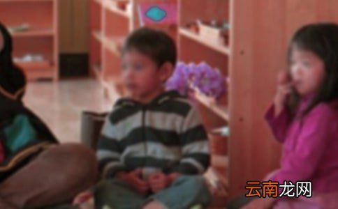 【精华】幼儿园春季工作计划3篇