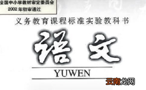 语文教学总结八篇