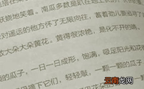 小学五年级语文教学总结