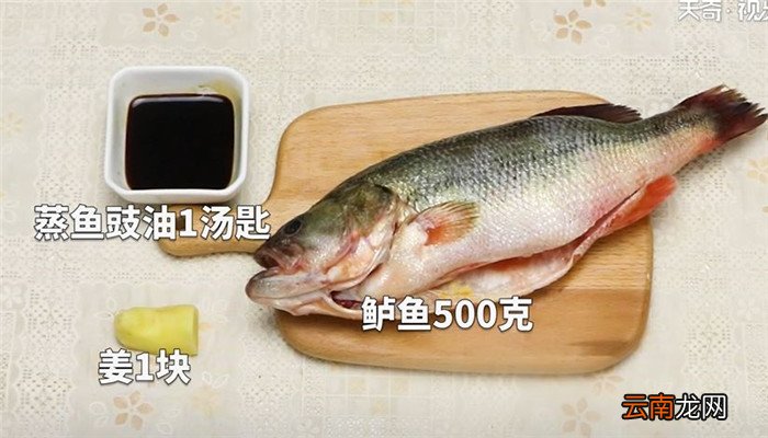 鲈鱼姜丝怎么做 鲈鱼姜丝的做法